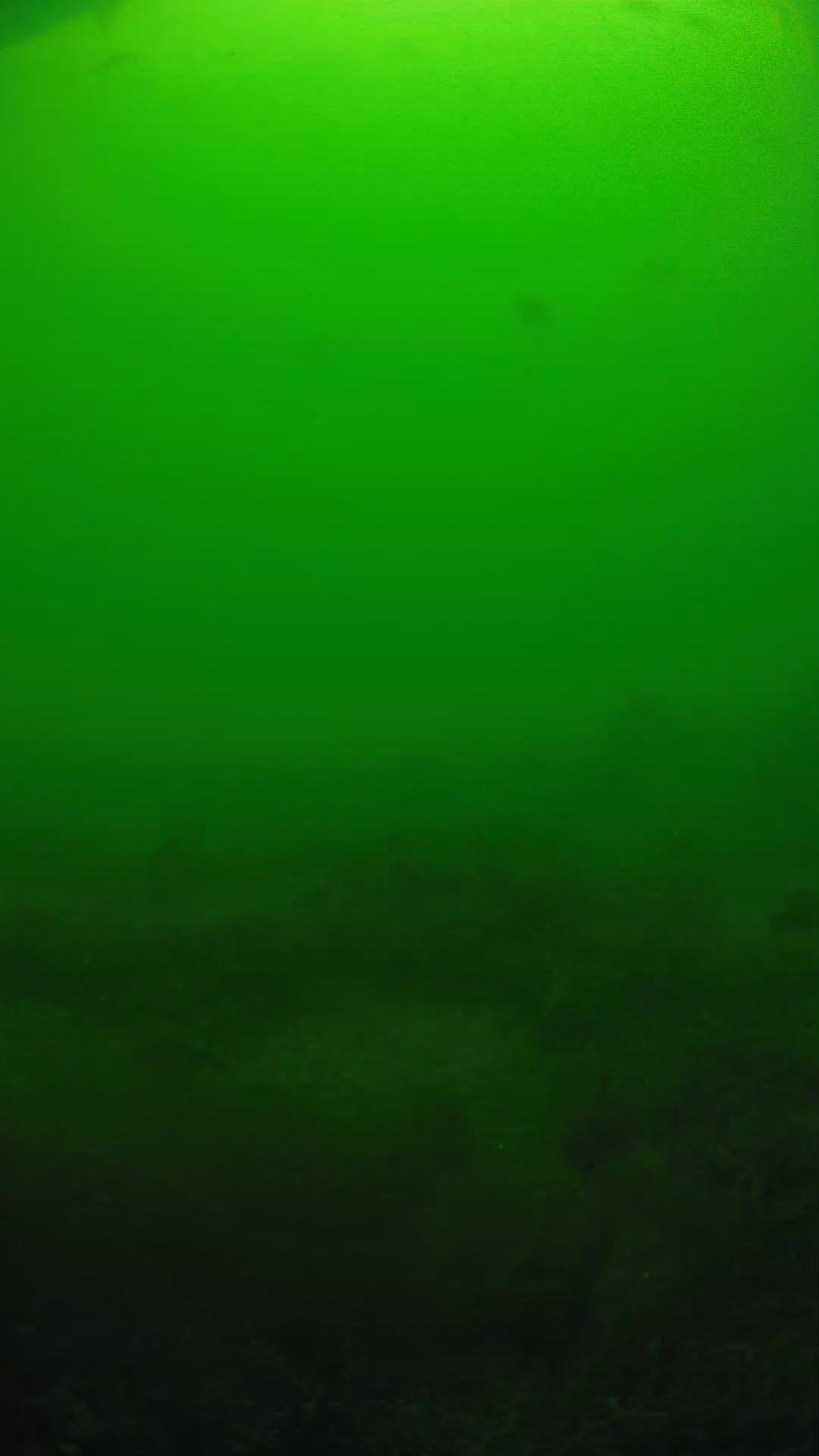 lander_ipcam_20250605124658.png