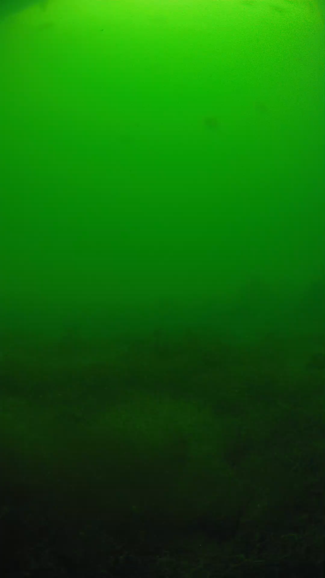 lander_ipcam_20250605124700.png