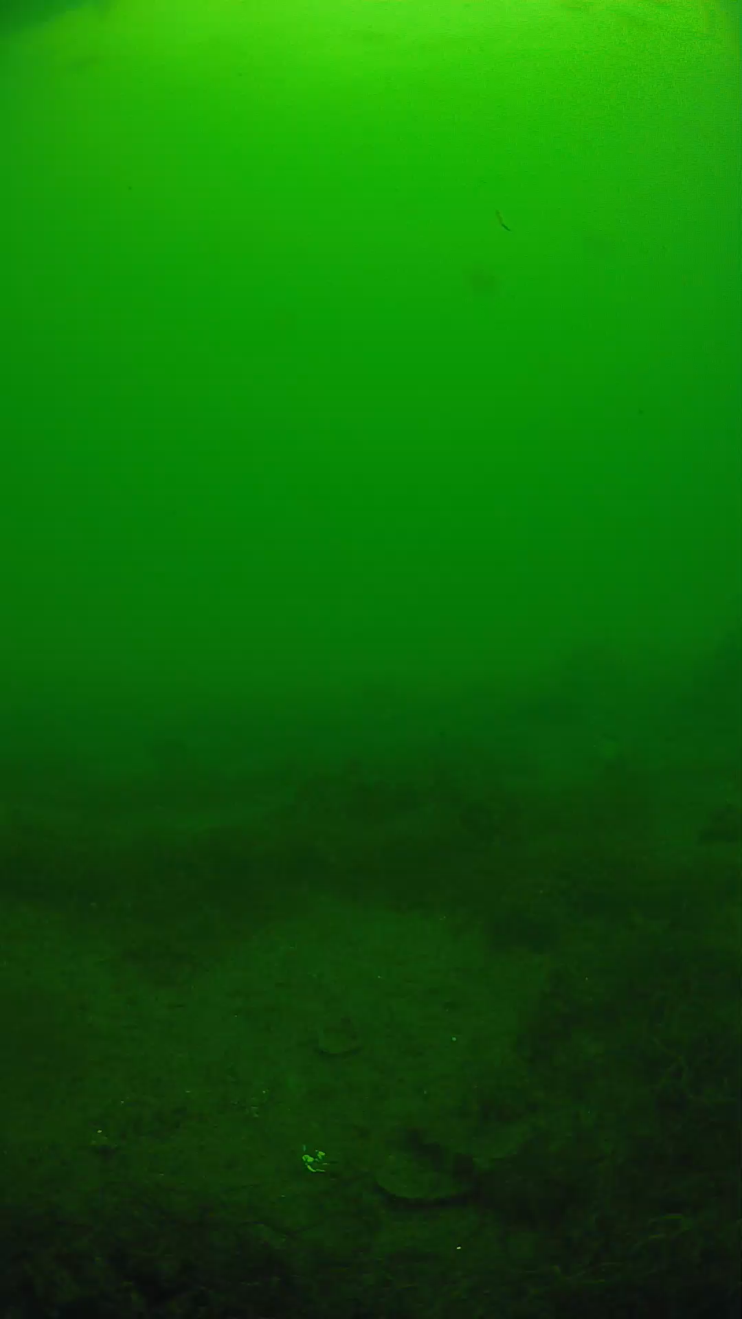 lander_ipcam_20250605130115.png