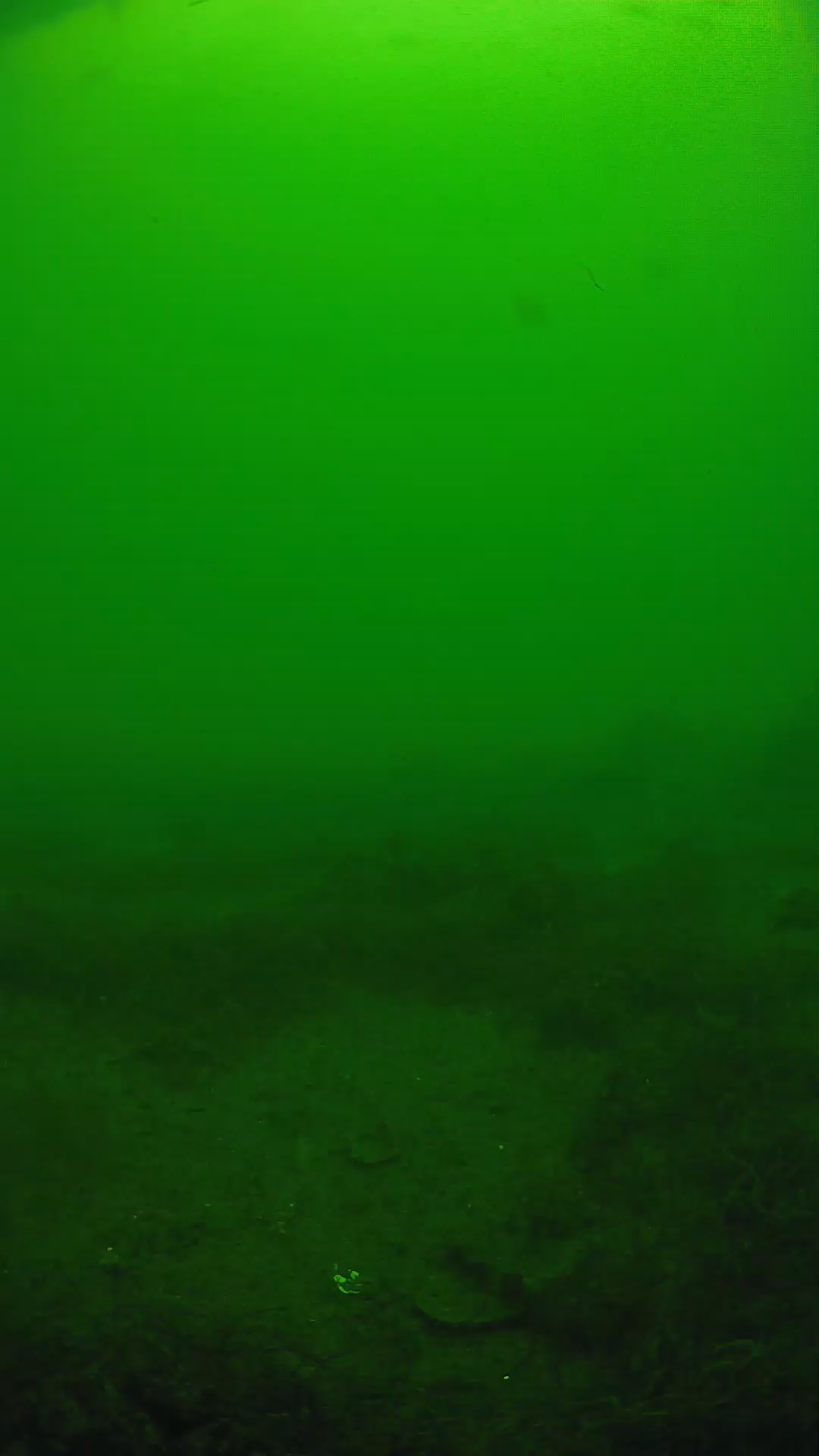 lander_ipcam_20250605130116.png