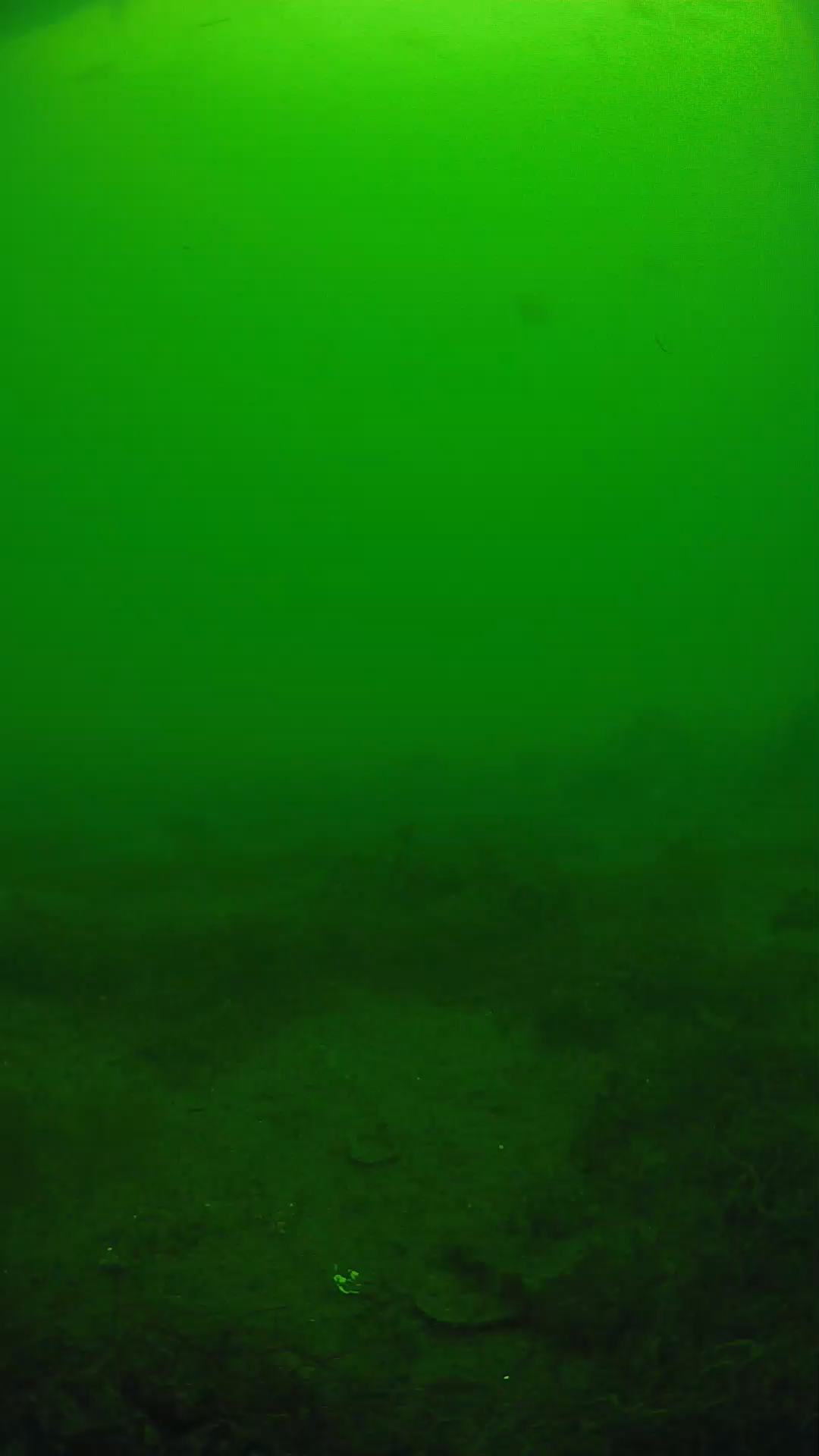lander_ipcam_20250605130118.png