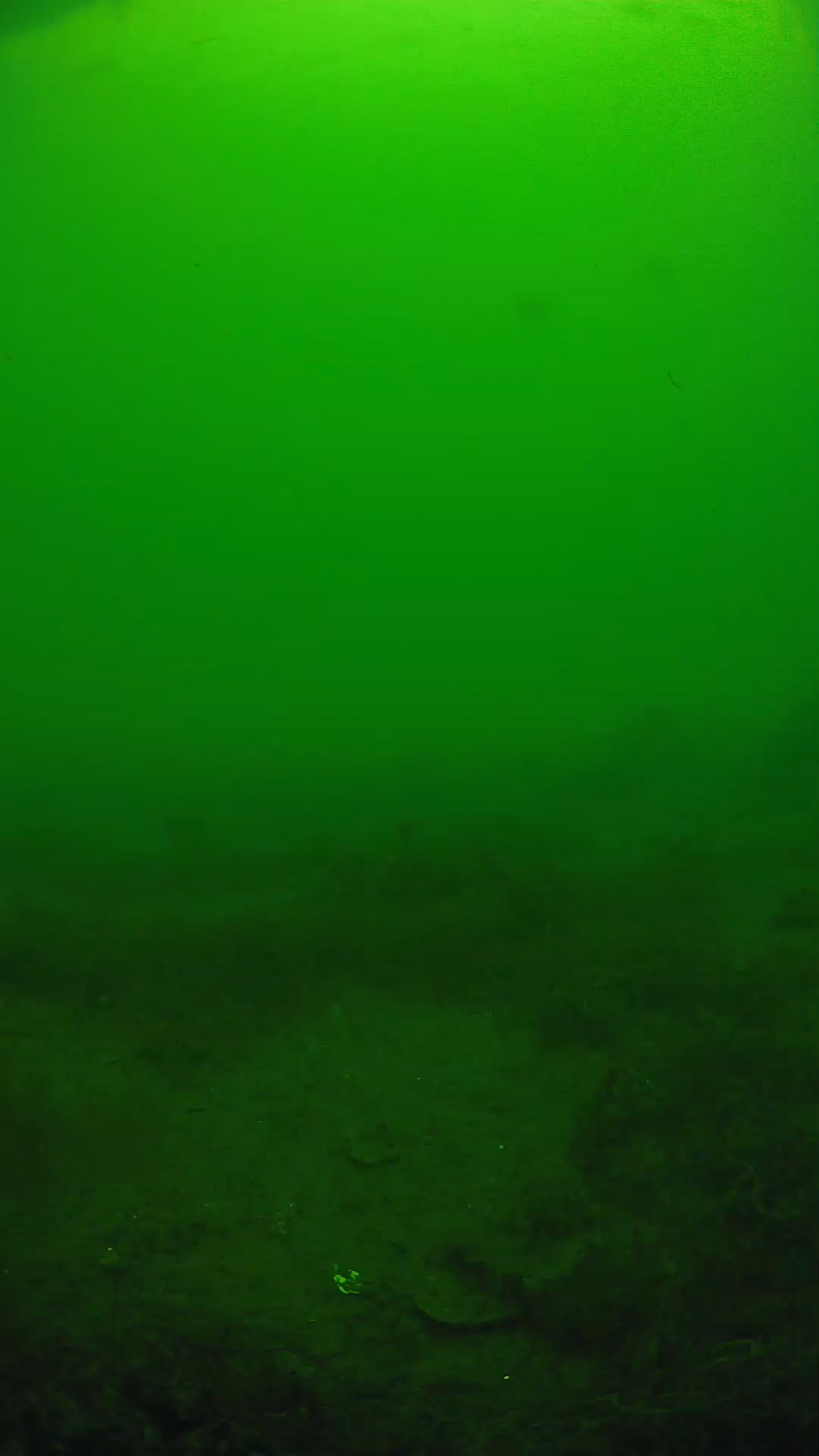 lander_ipcam_20250605130119.png