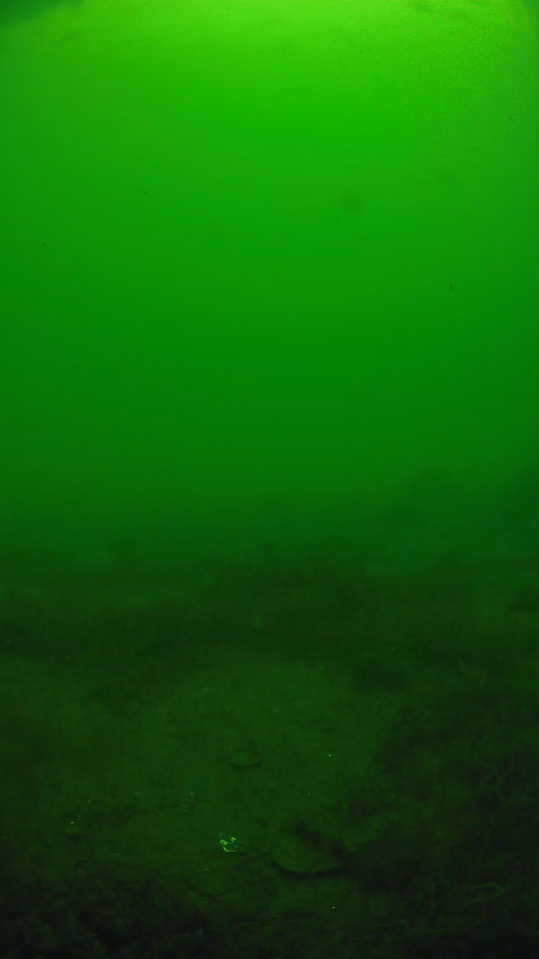 lander_ipcam_20250605130121.png