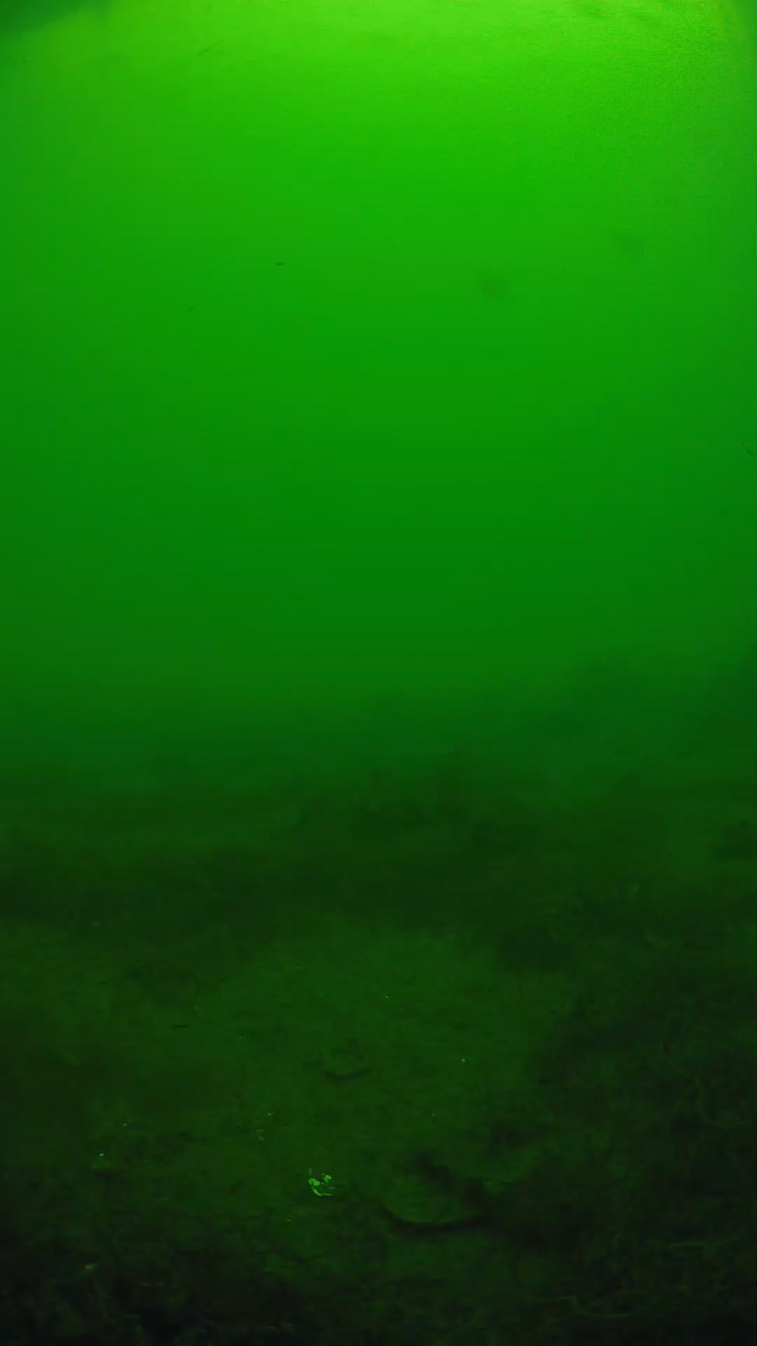 lander_ipcam_20250605130124.png