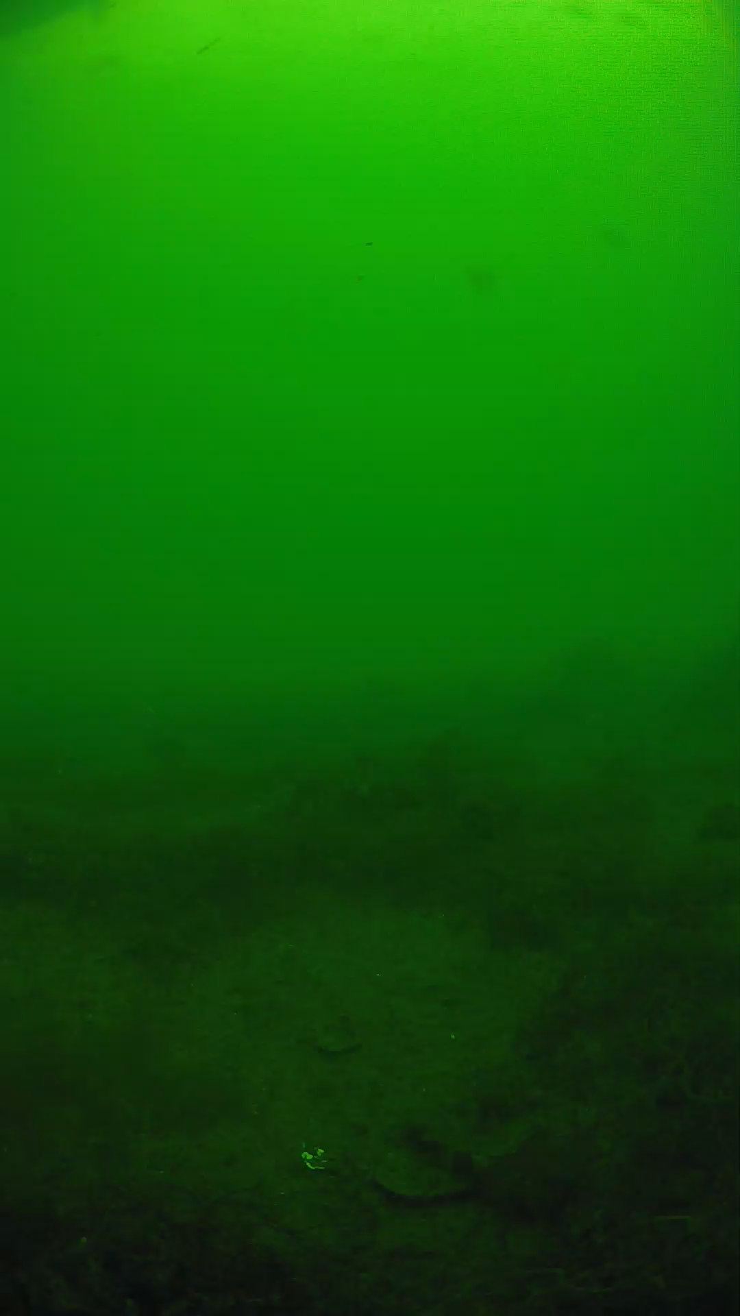 lander_ipcam_20250605130127.png