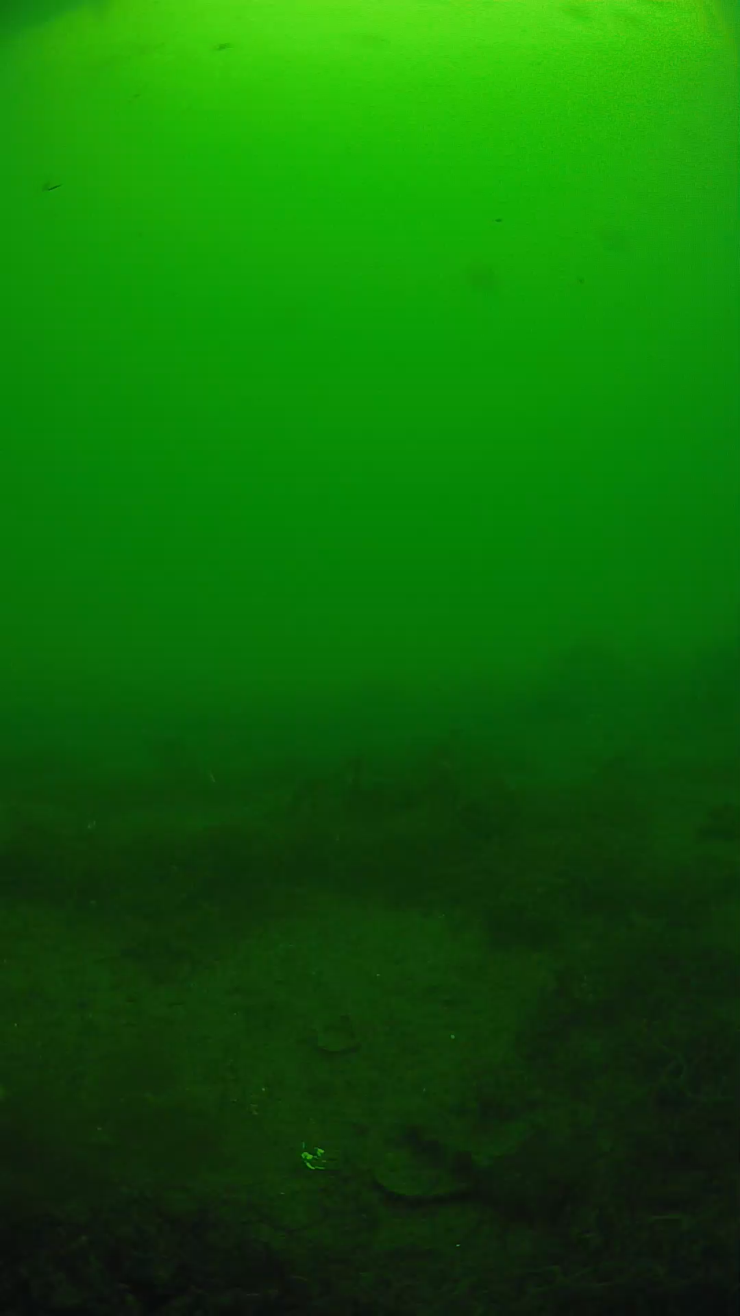 lander_ipcam_20250605130131.png