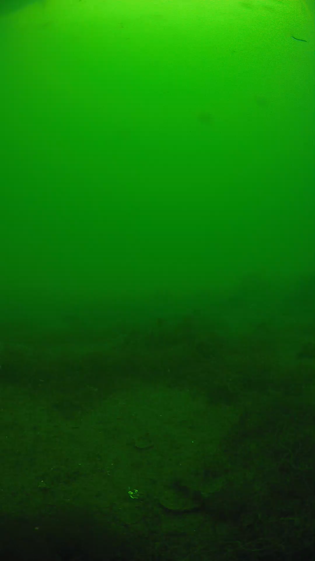 lander_ipcam_20250605130135.png