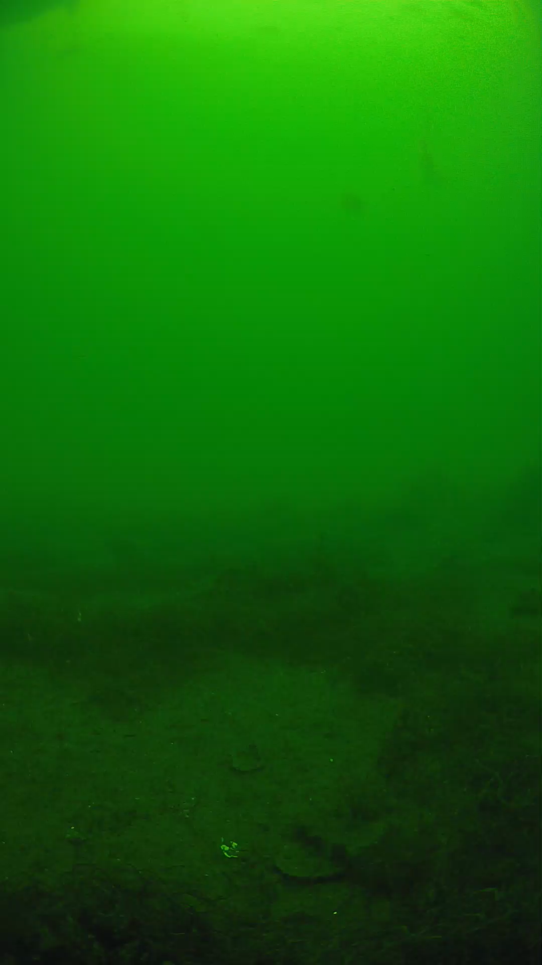 lander_ipcam_20250605130157.png