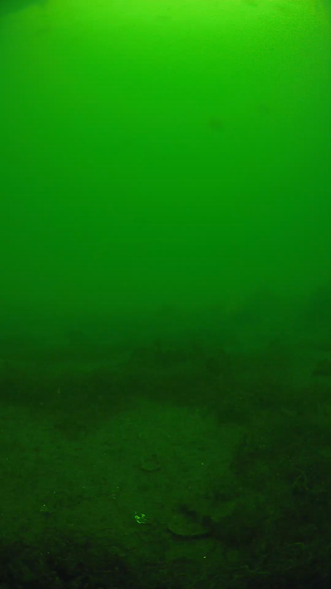 lander_ipcam_20250605130201.png
