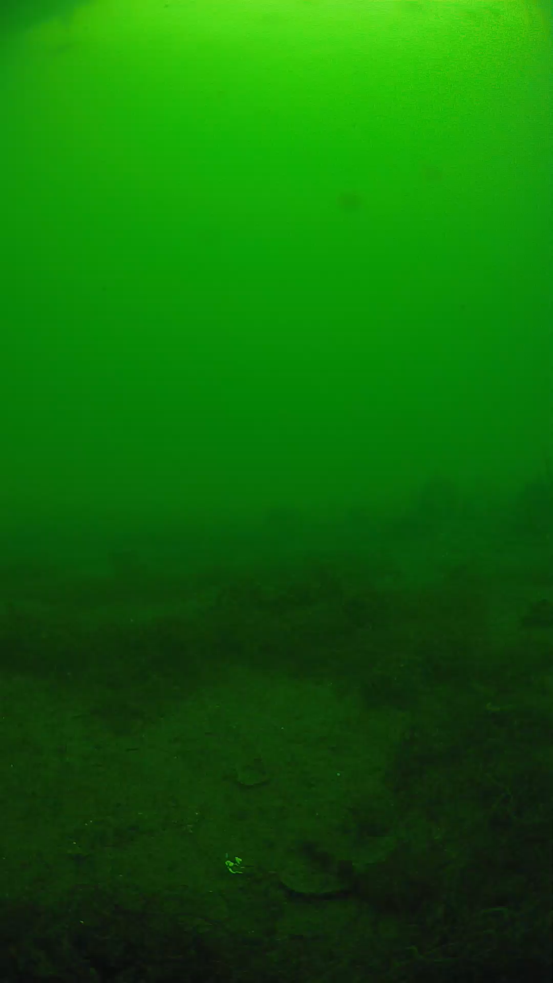 lander_ipcam_20250605131615.png
