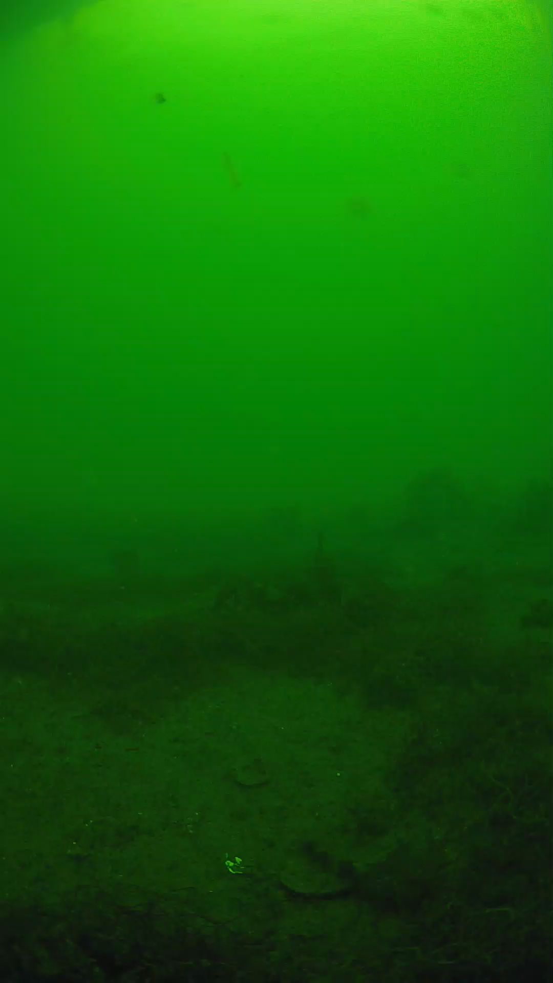 lander_ipcam_20250605131648.png