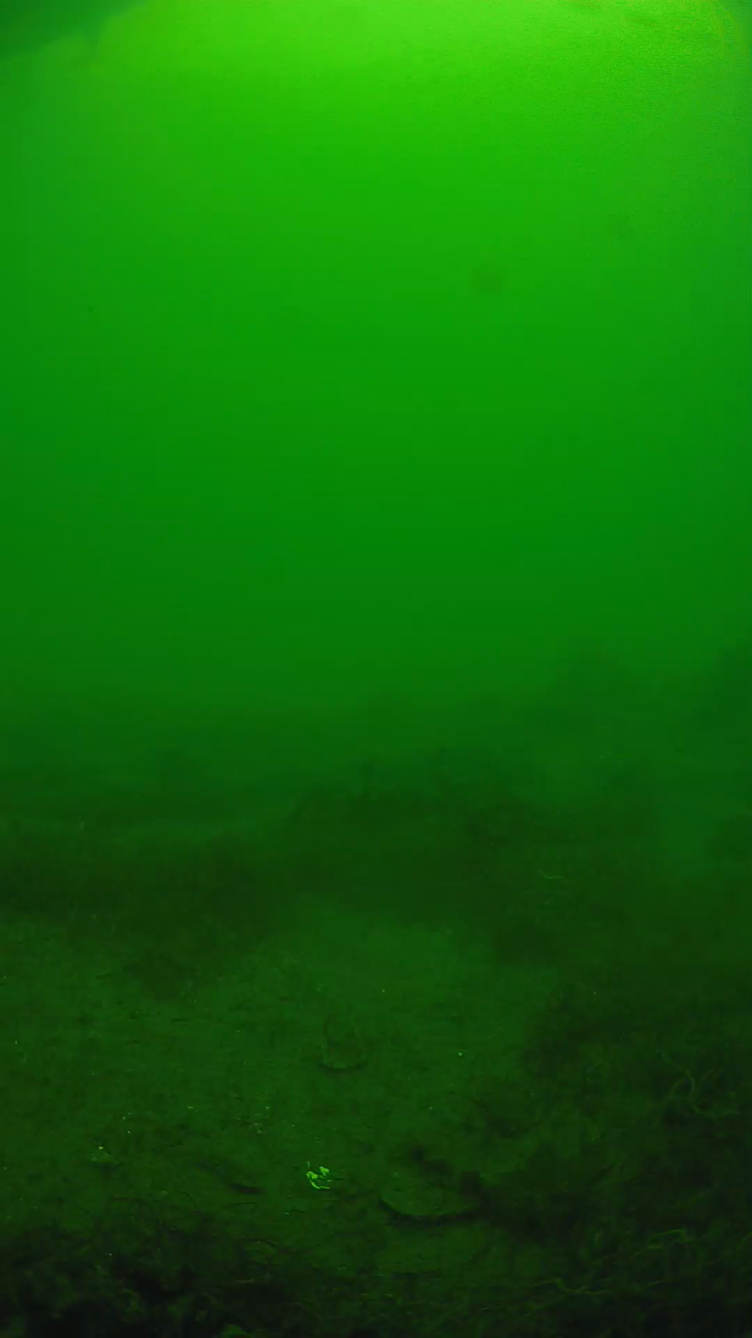 lander_ipcam_20250605133132.png