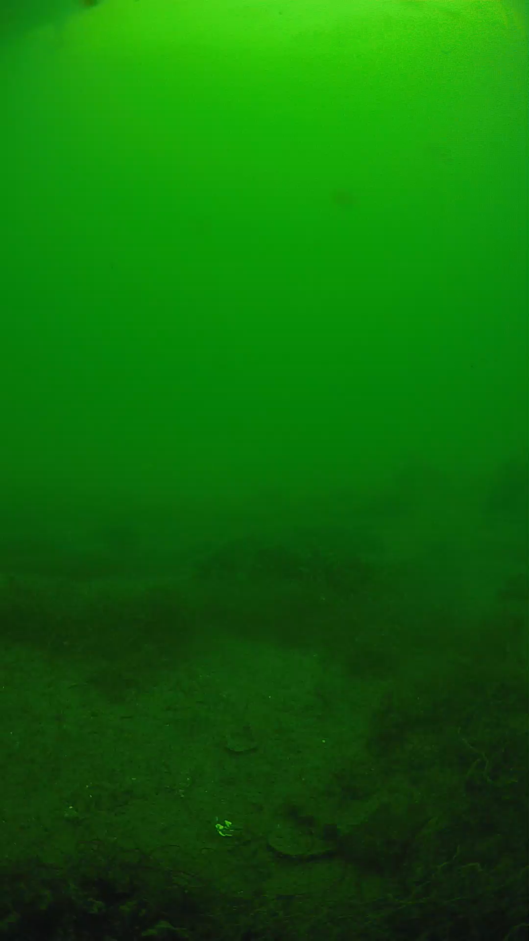 lander_ipcam_20250605133135.png