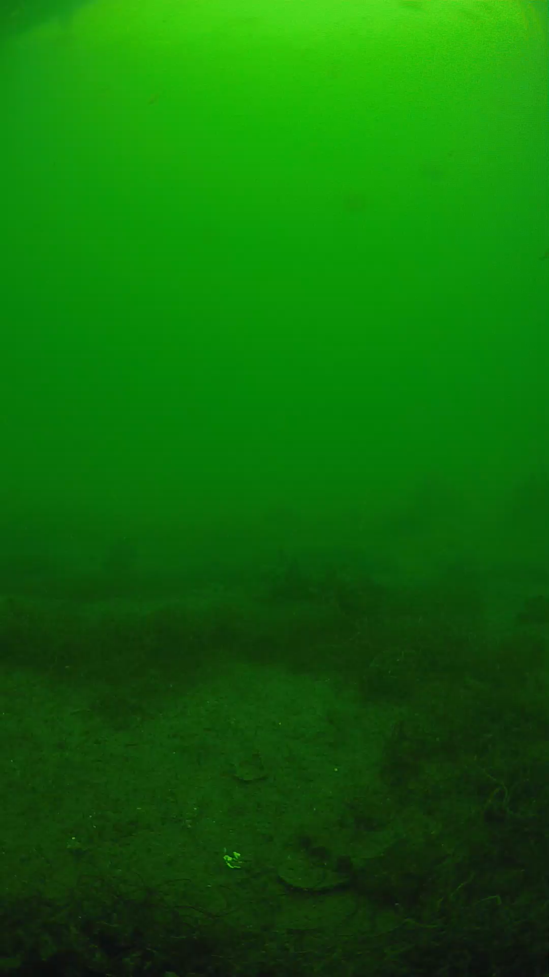 lander_ipcam_20250605133144.png