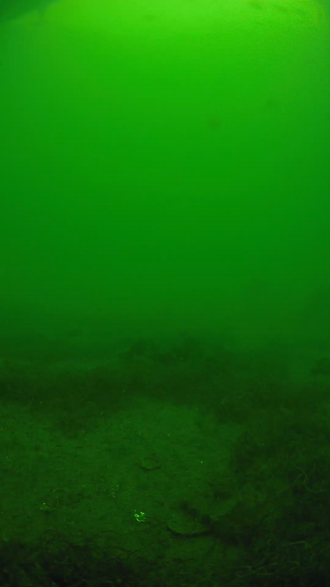lander_ipcam_20250605133155.png