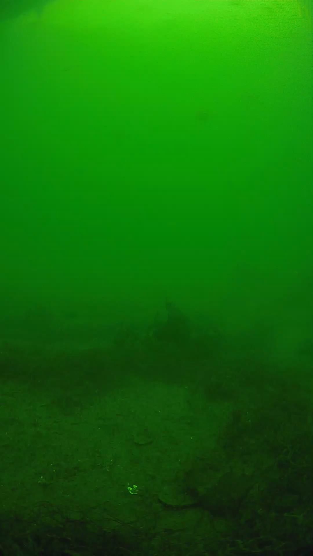 lander_ipcam_20250605133201.png