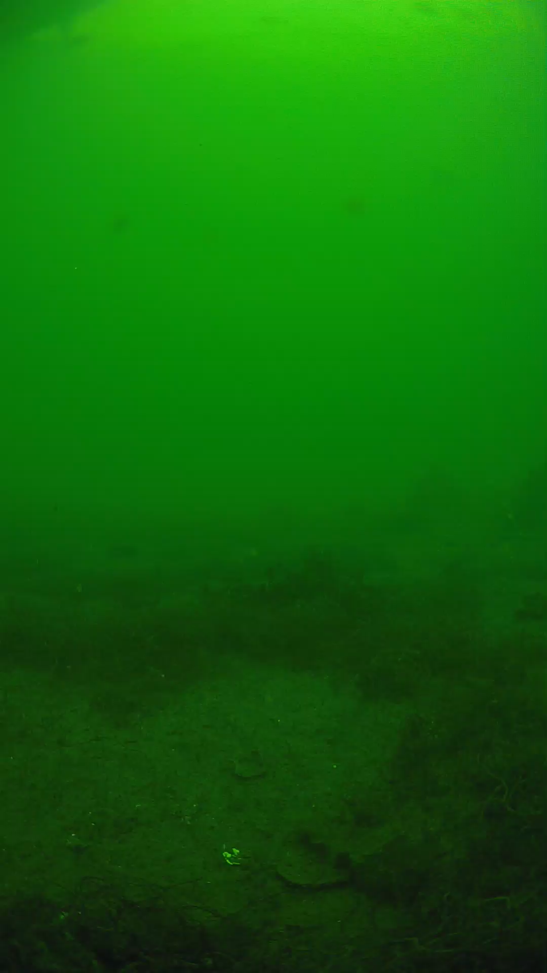 lander_ipcam_20250605134636.png