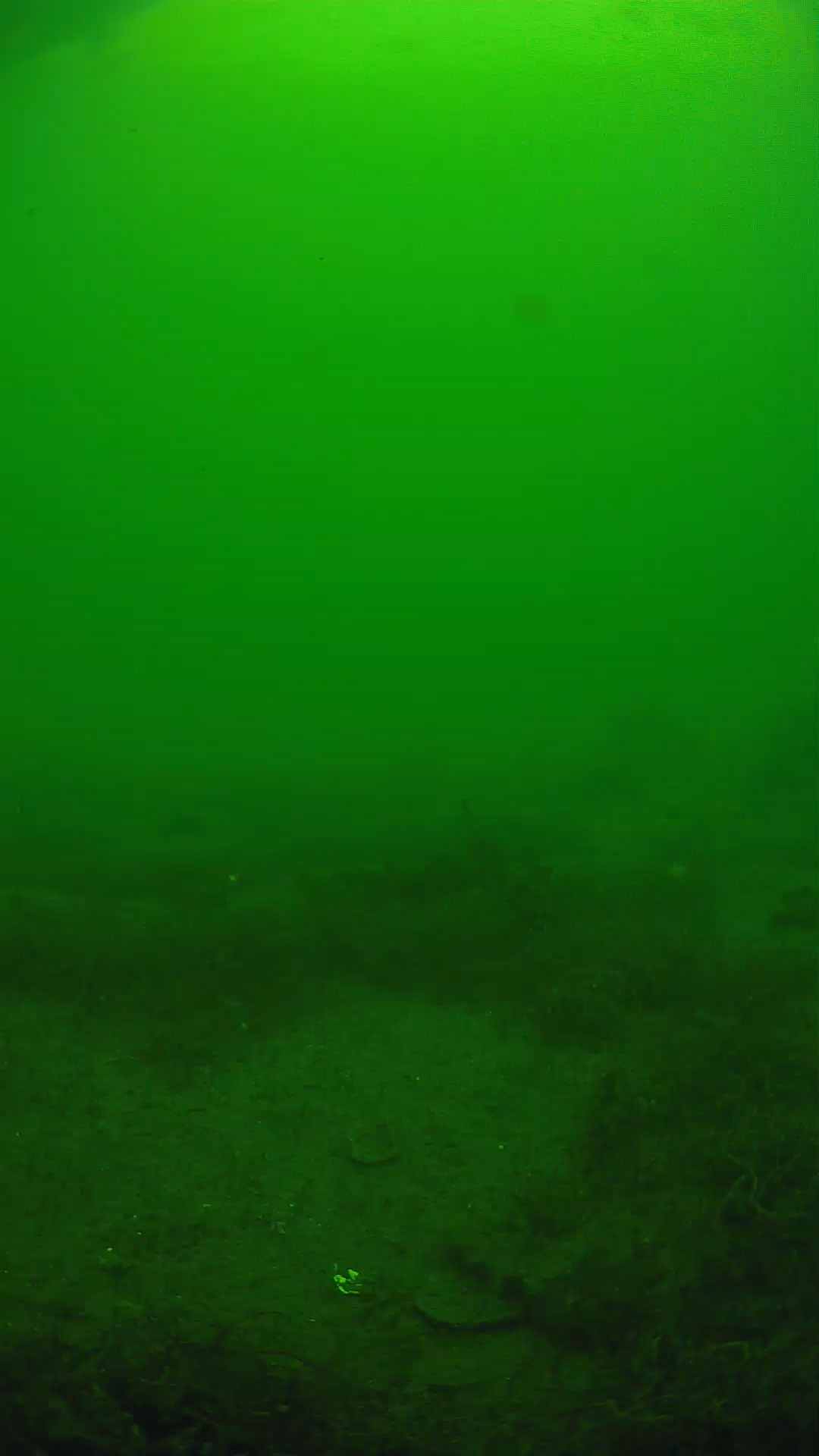 lander_ipcam_20250605134658.png