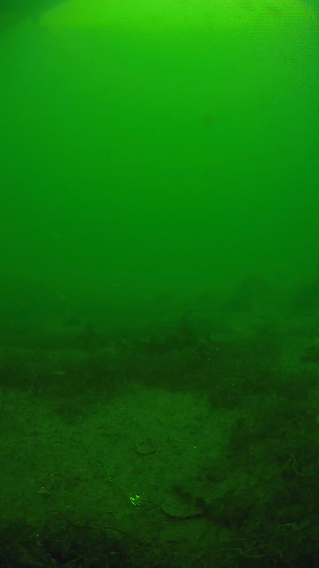 lander_ipcam_20250605140104.png