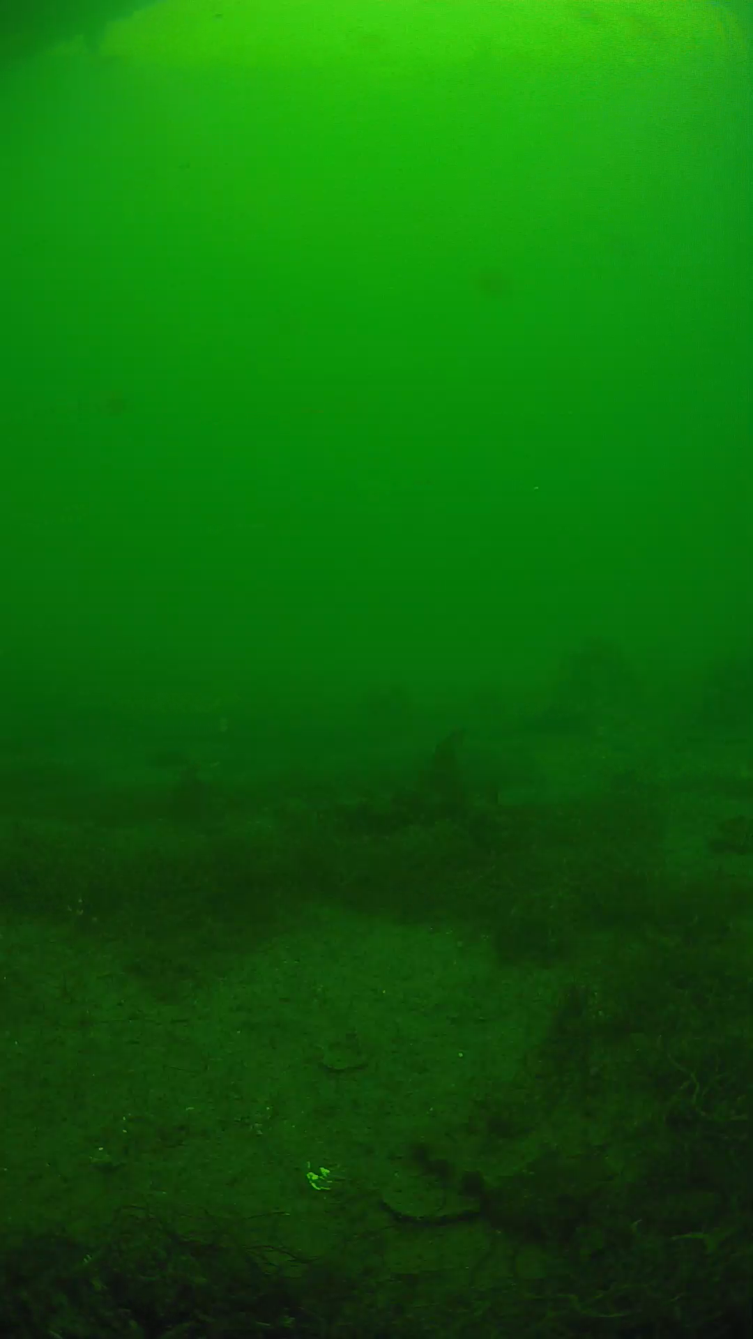 lander_ipcam_20250605140113.png