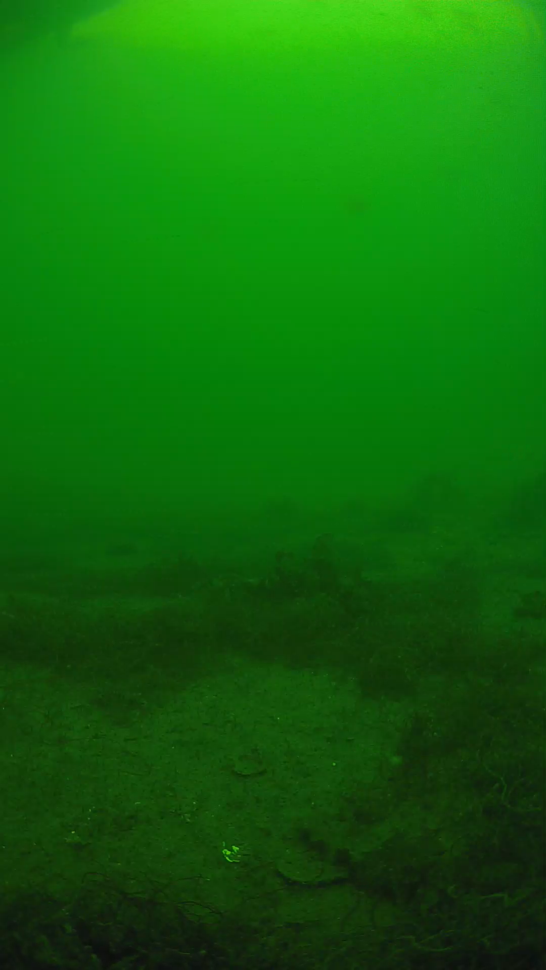 lander_ipcam_20250605140132.png