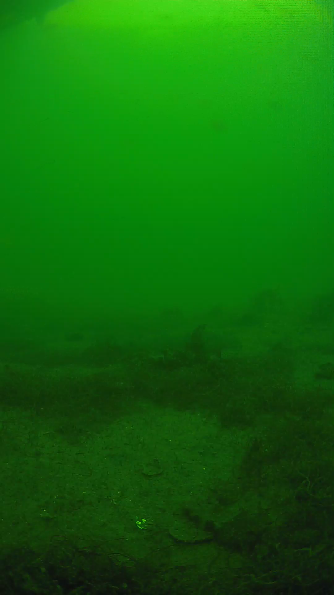 lander_ipcam_20250605140136.png