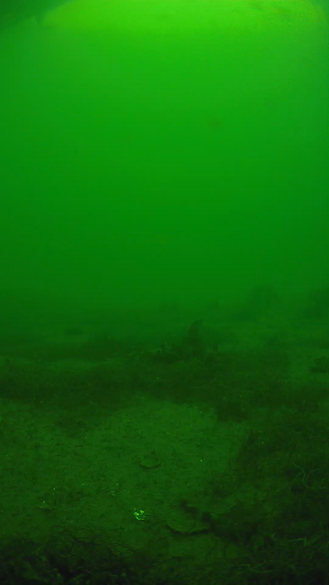 lander_ipcam_20250605140137.png