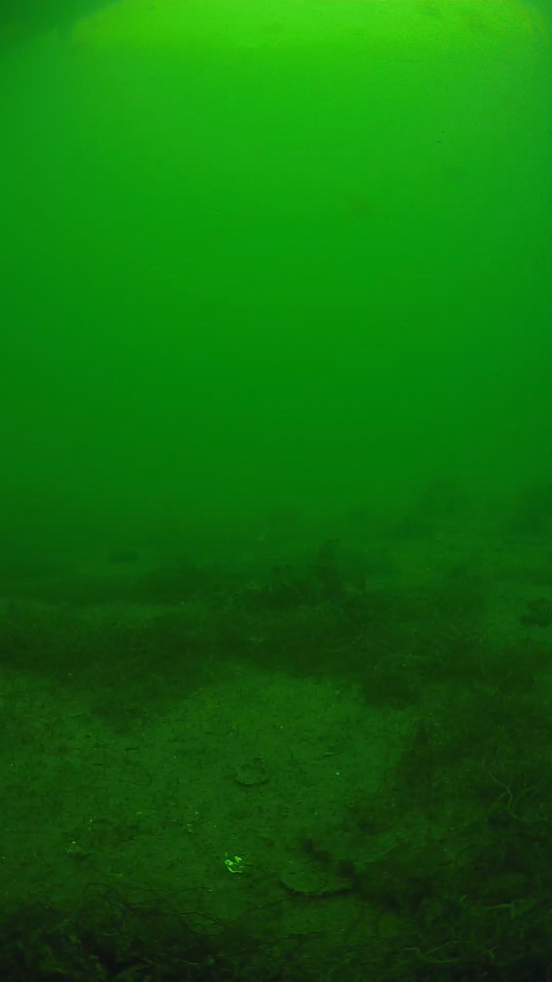 lander_ipcam_20250605140142.png