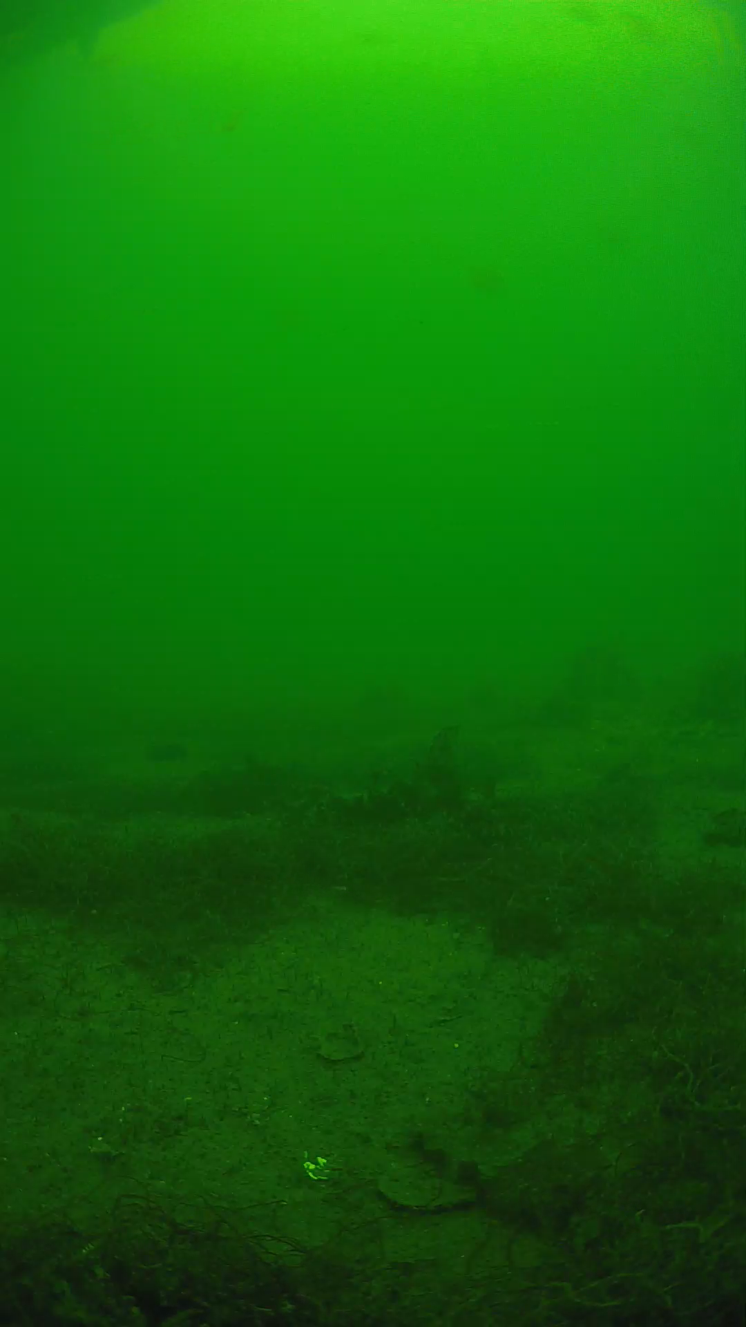 lander_ipcam_20250605140146.png
