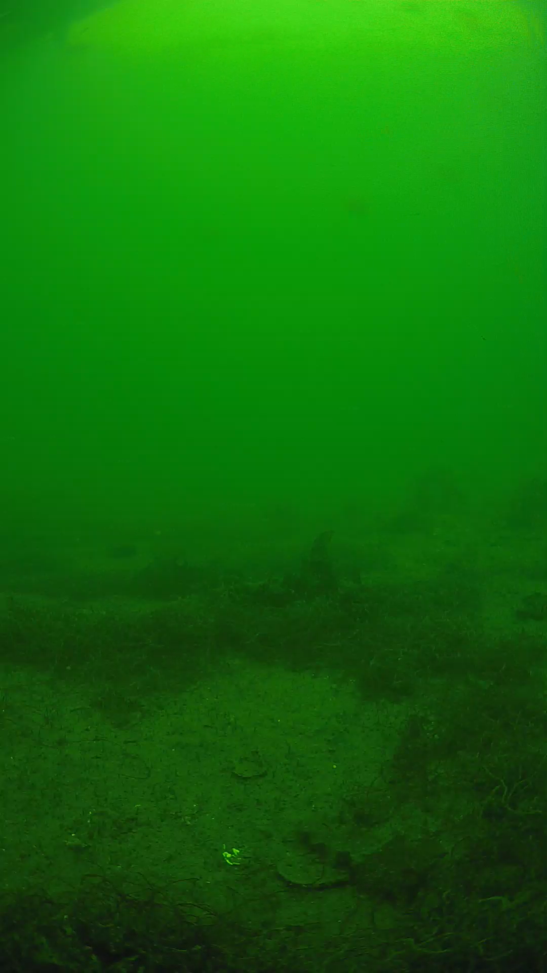 lander_ipcam_20250605140153.png