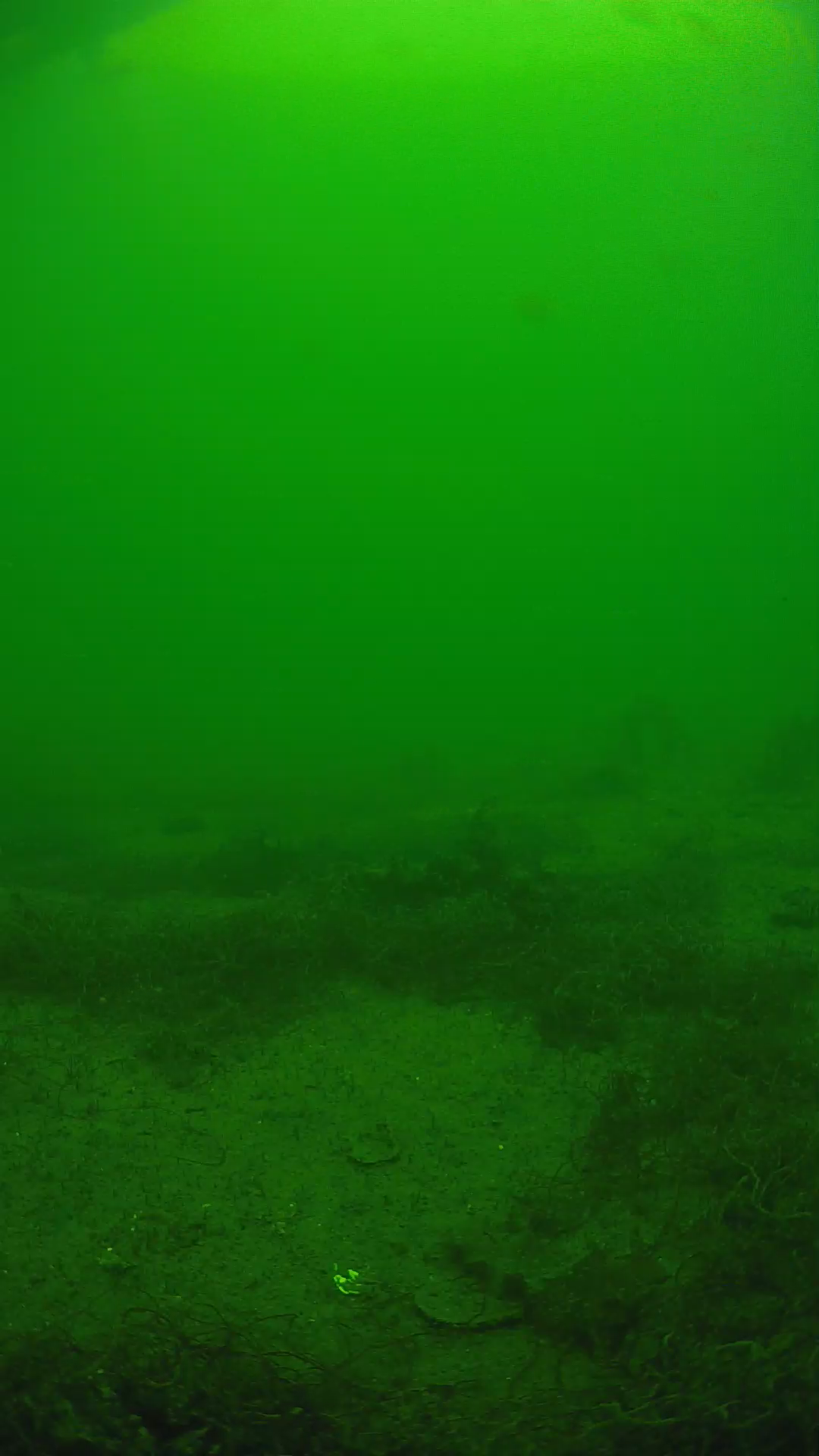 lander_ipcam_20250605140156.png