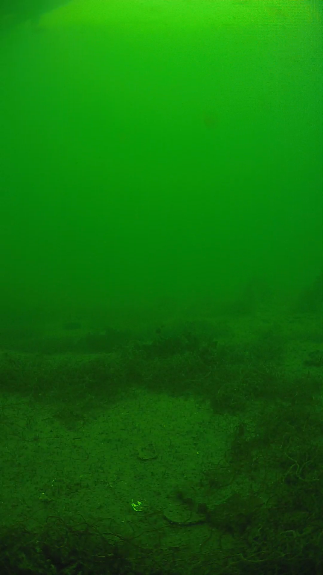 lander_ipcam_20250605140202.png