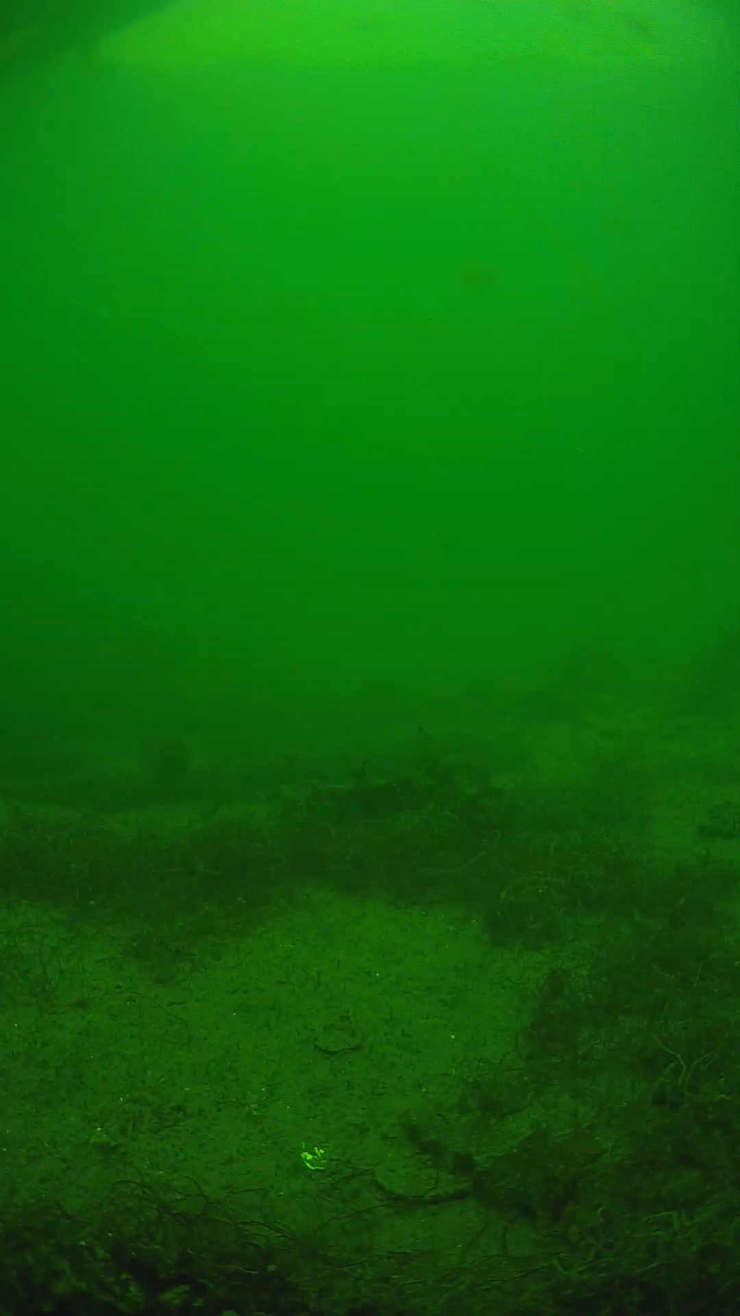 lander_ipcam_20250605141627.png