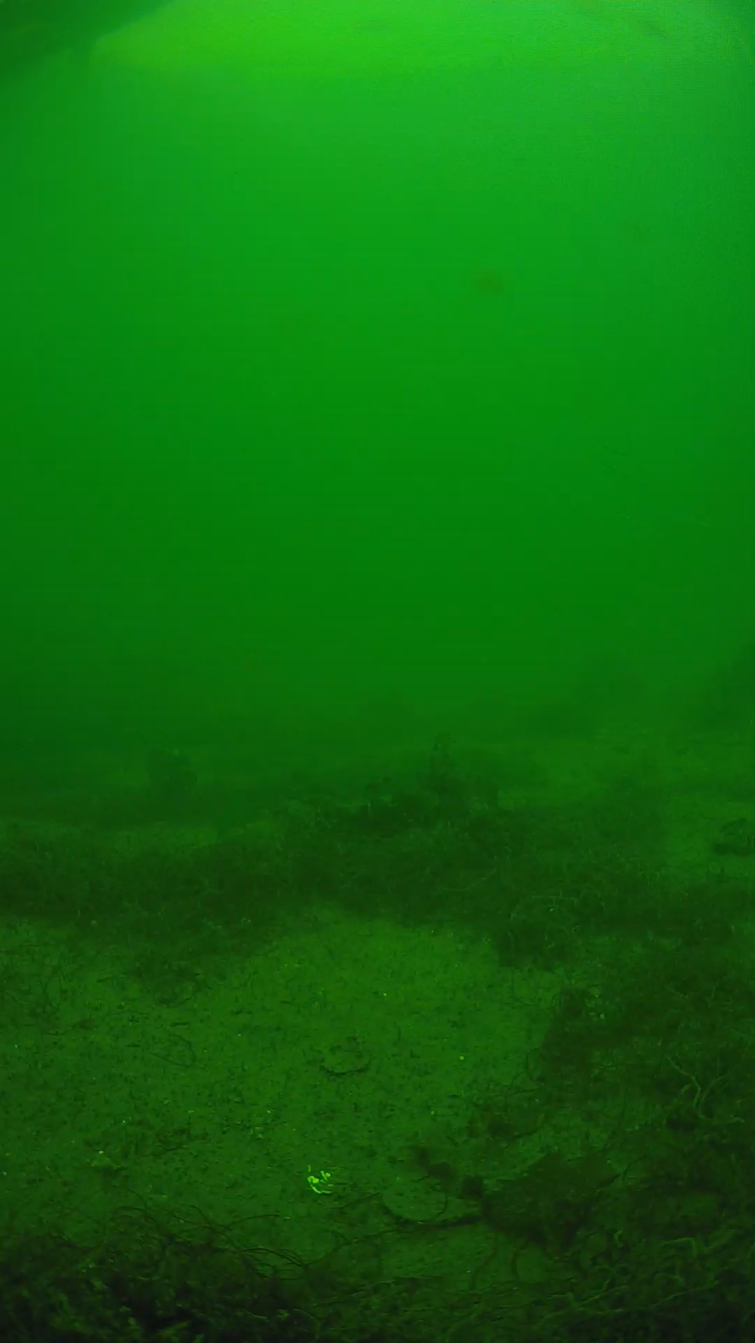 lander_ipcam_20250605141631.png
