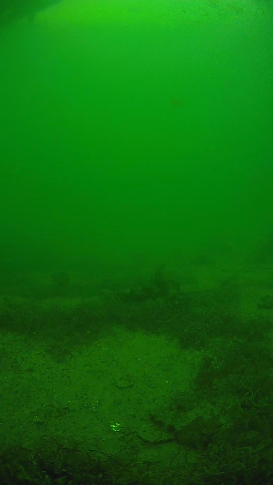 lander_ipcam_20250605141636.png