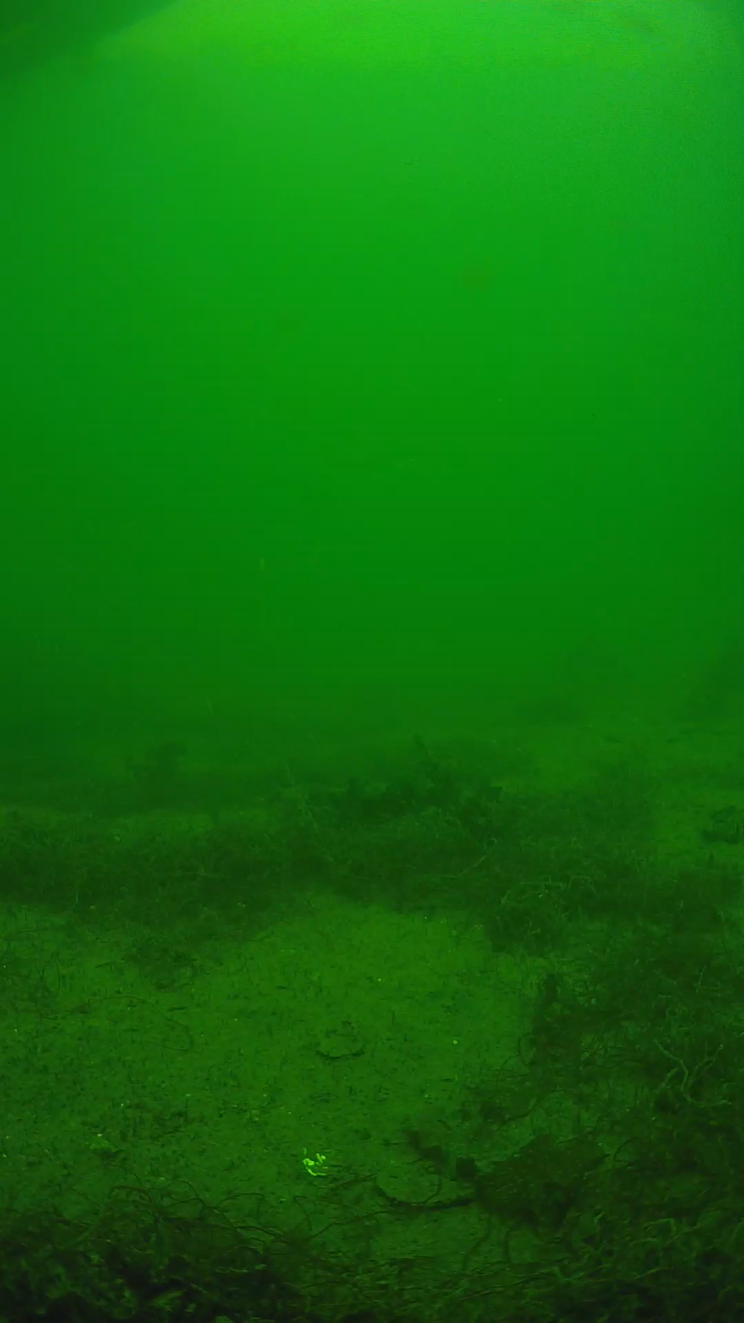 lander_ipcam_20250605141657.png