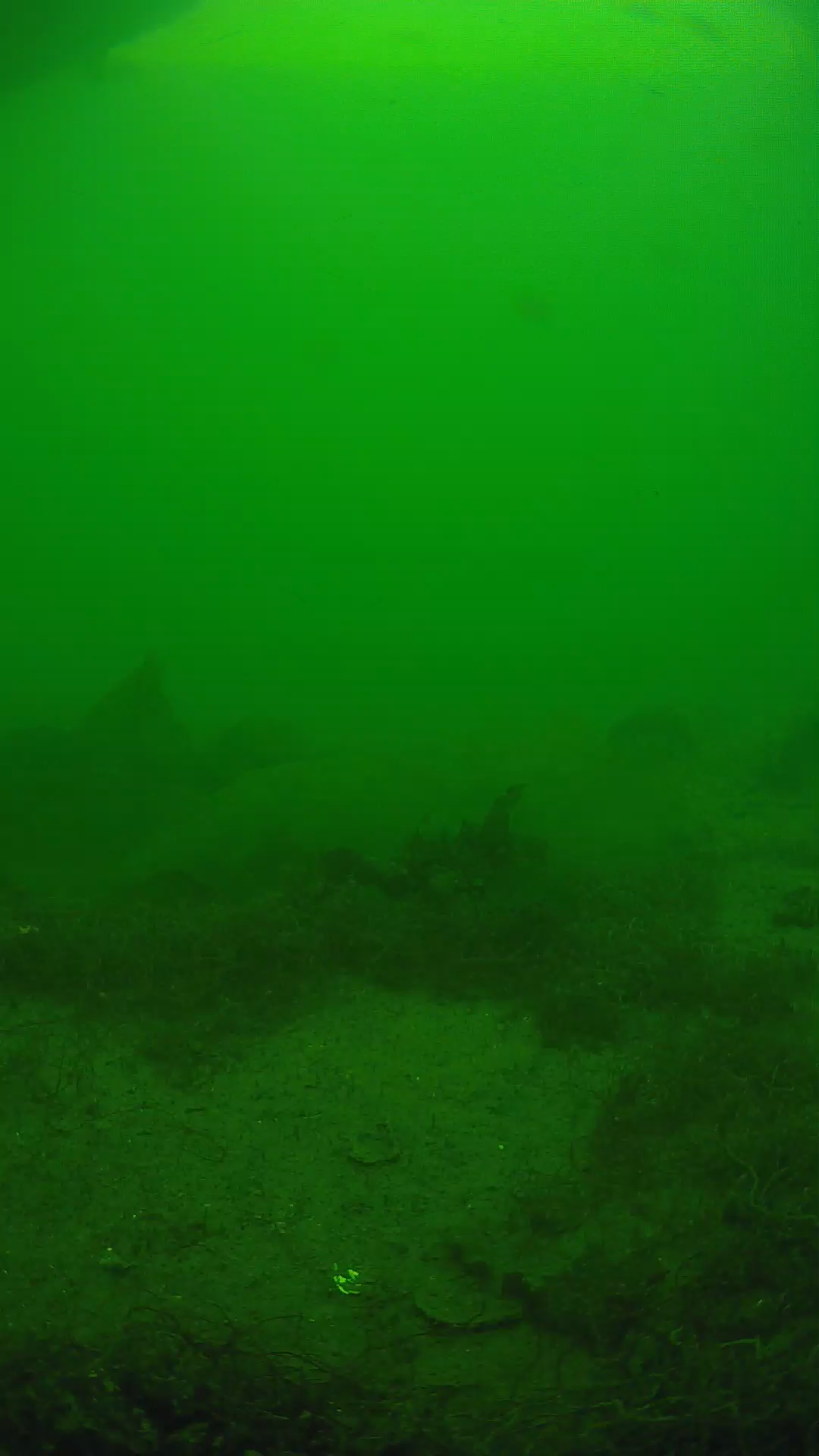 lander_ipcam_20250605143107.png