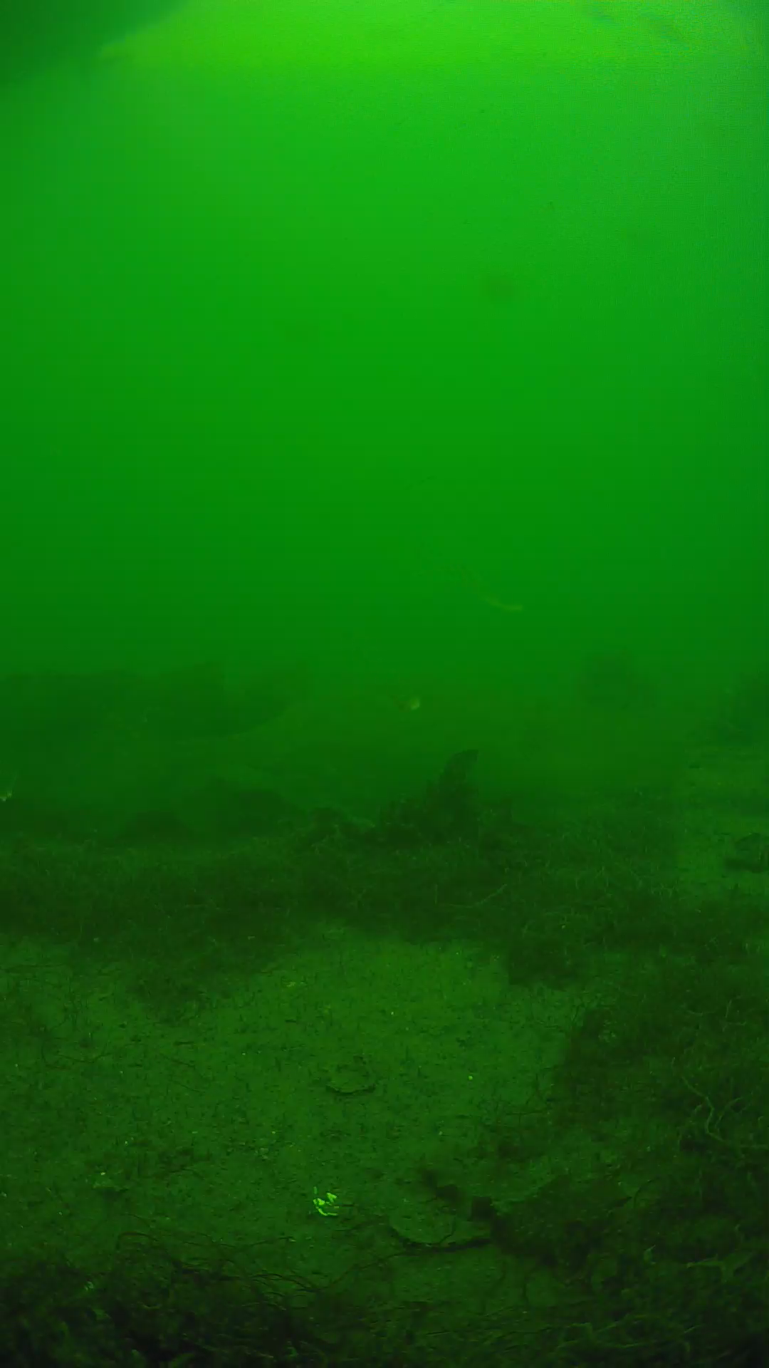 lander_ipcam_20250605143139.png