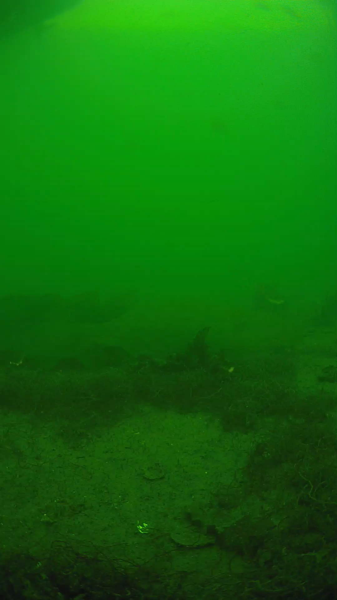 lander_ipcam_20250605143140.png