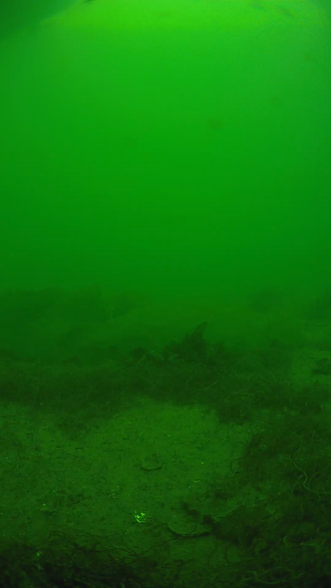 lander_ipcam_20250605143145.png
