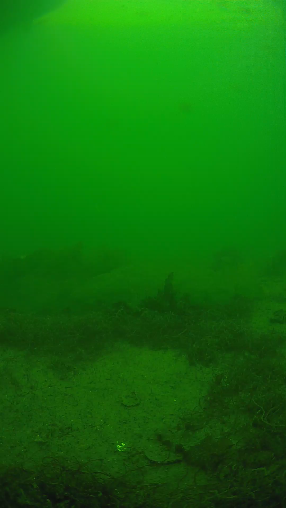 lander_ipcam_20250605143152.png
