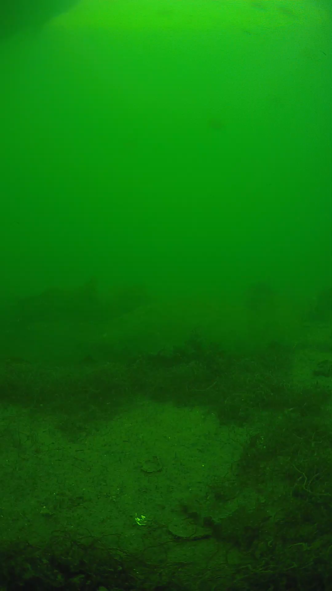 lander_ipcam_20250605143158.png