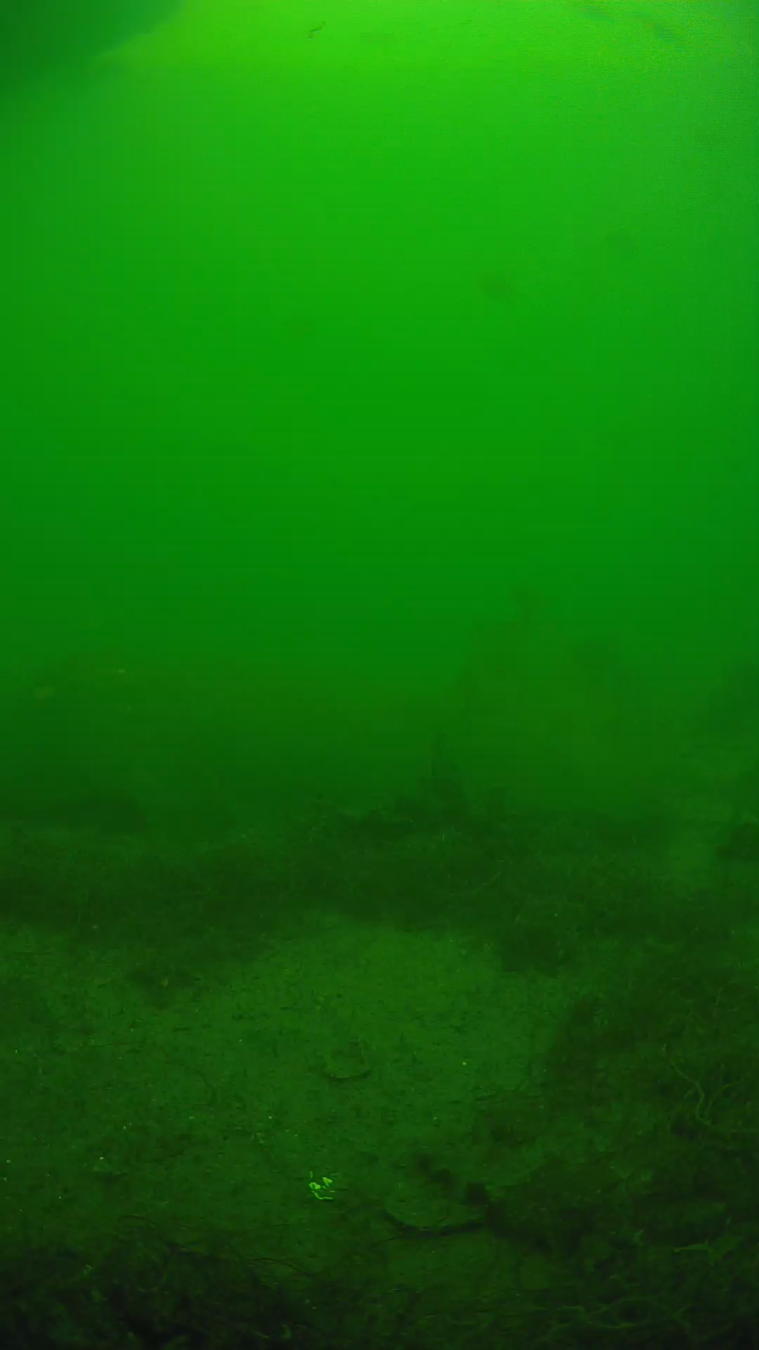 lander_ipcam_20250605144604.png