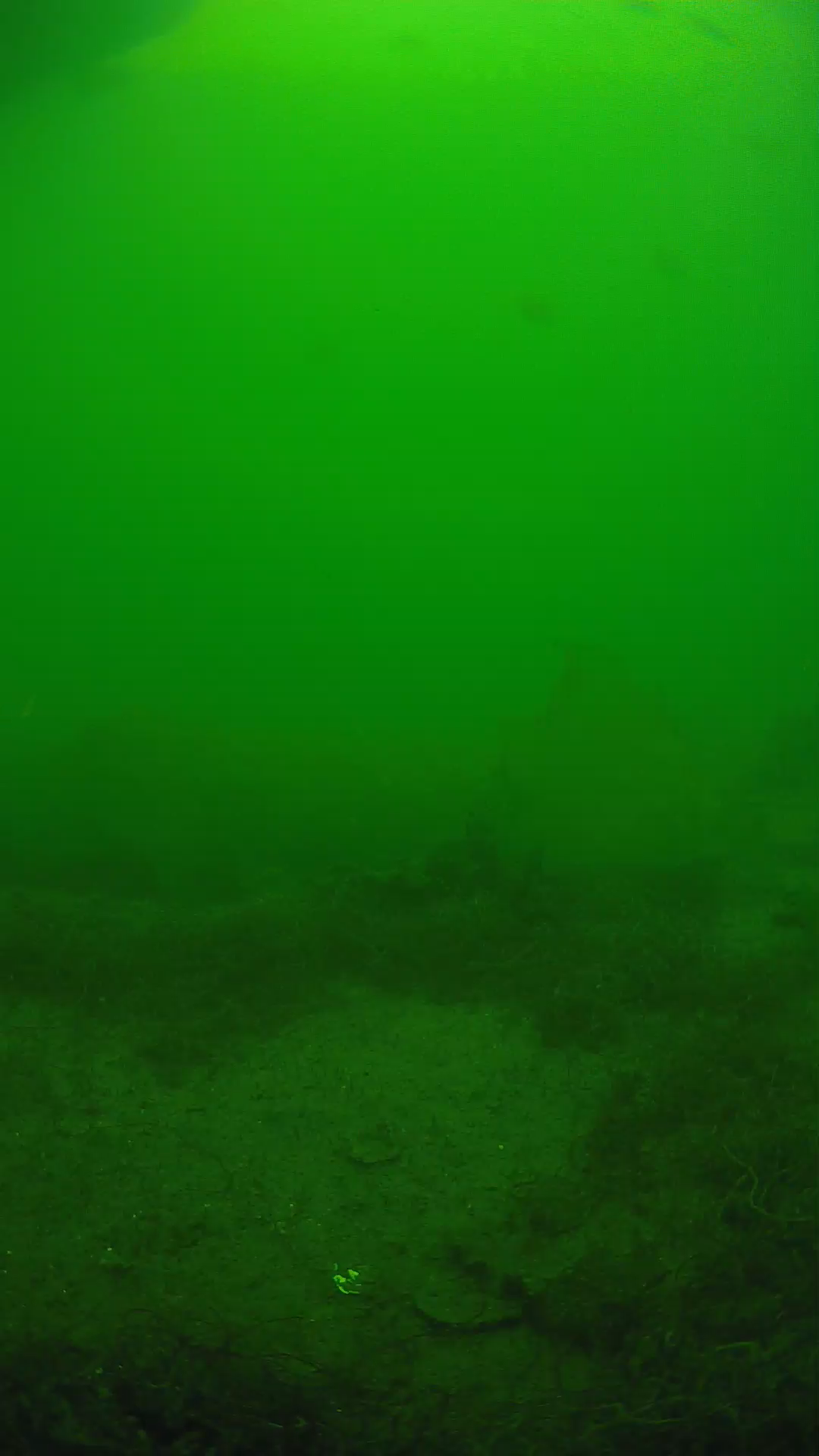 lander_ipcam_20250605144643.png