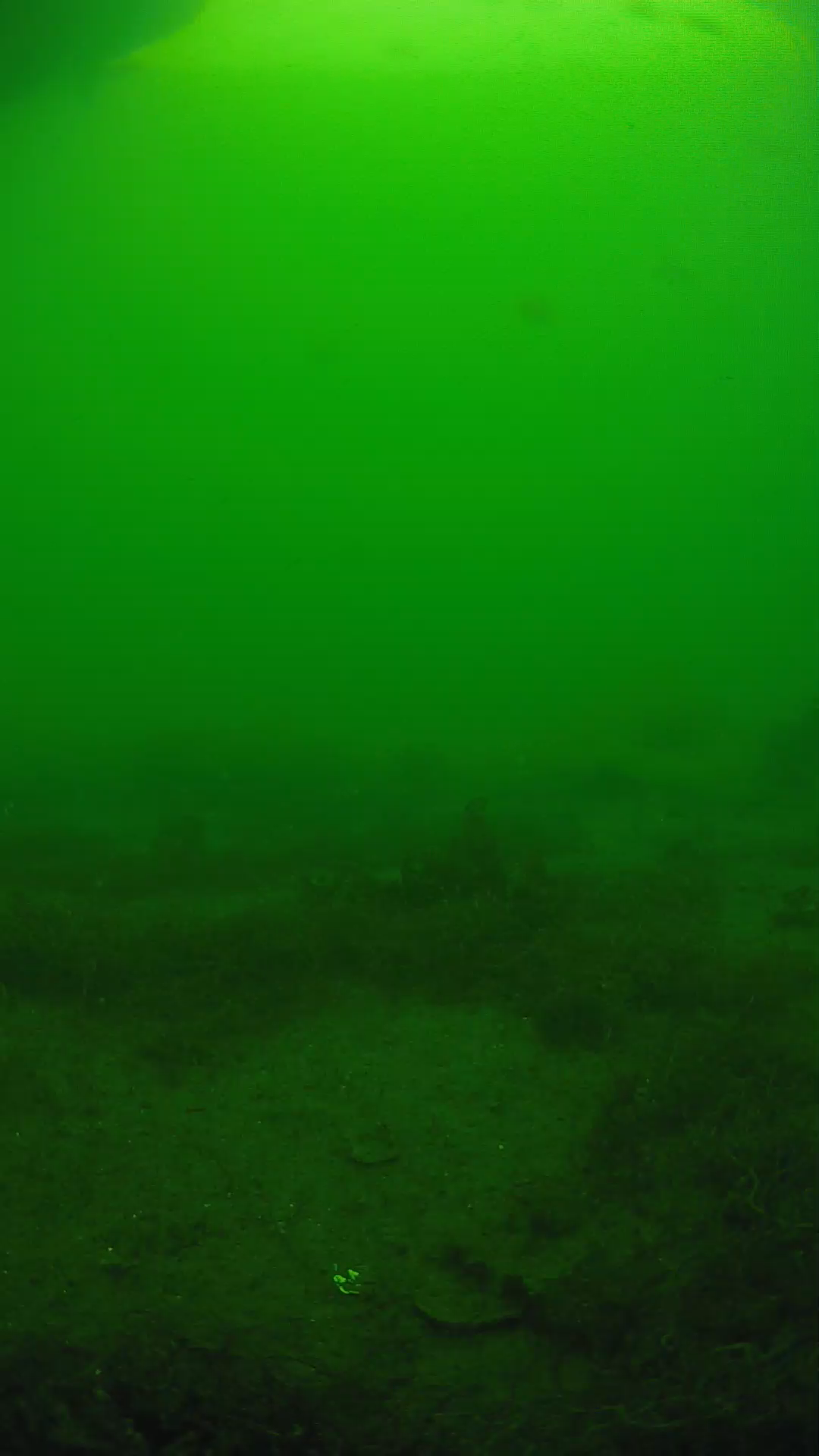 lander_ipcam_20250605150201.png