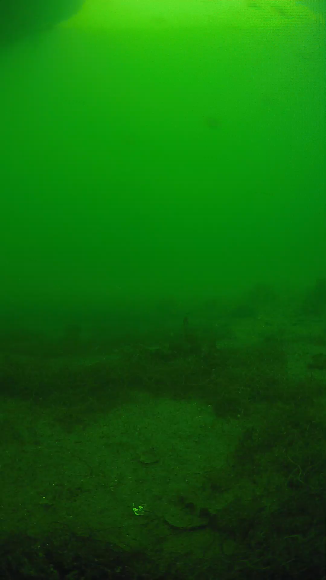lander_ipcam_20250605151606.png