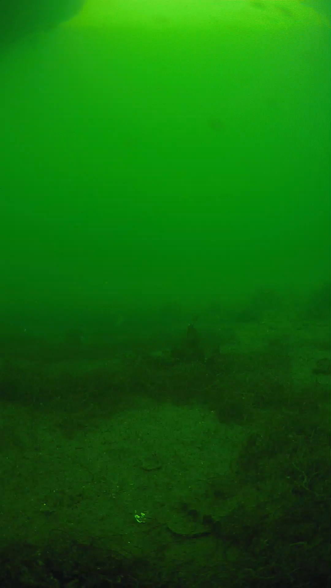 lander_ipcam_20250605151614.png