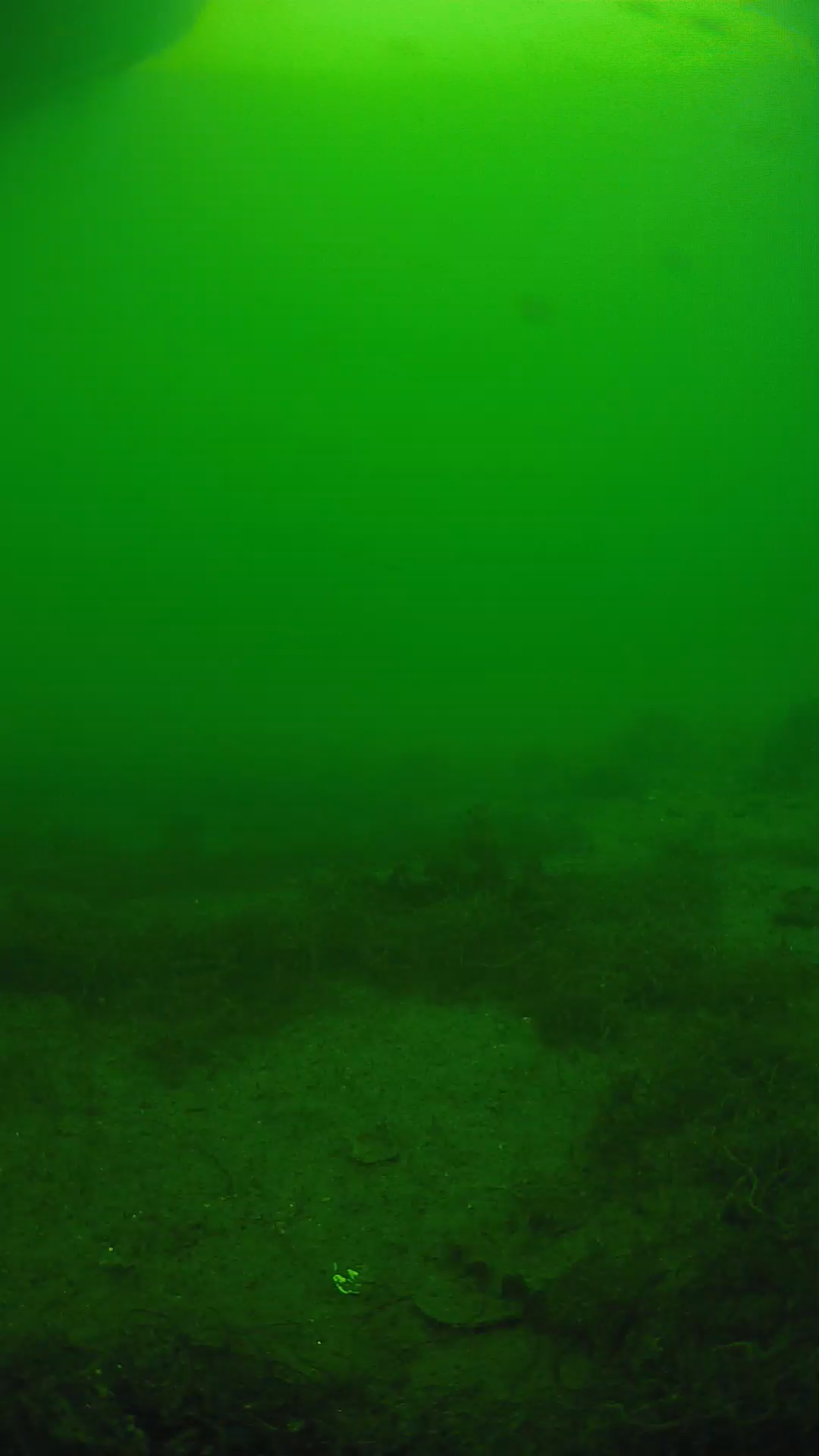 lander_ipcam_20250605151633.png