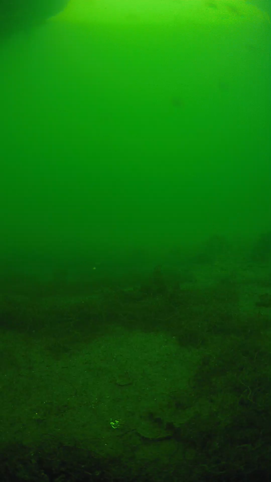 lander_ipcam_20250605151642.png
