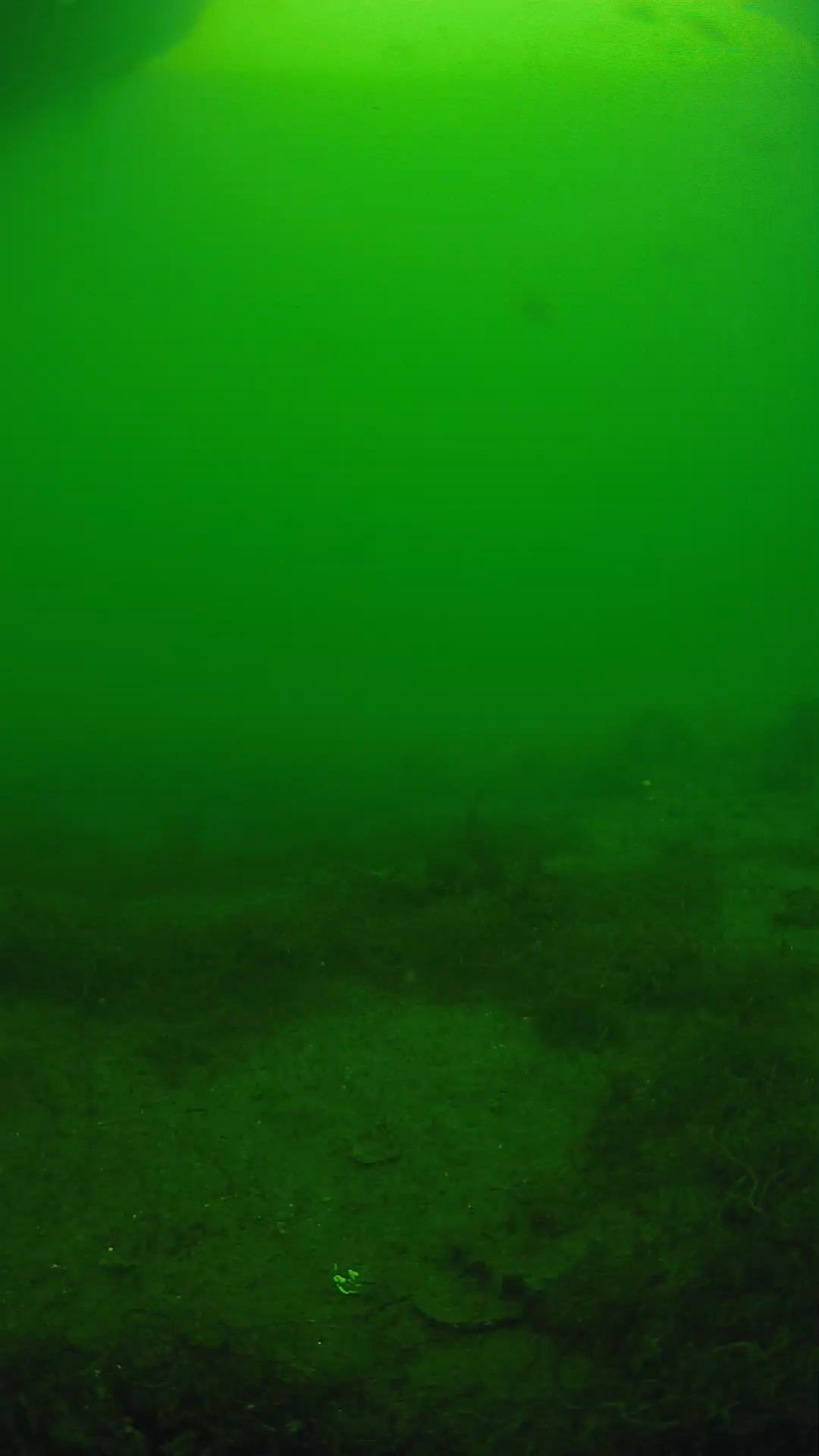 lander_ipcam_20250605151650.png